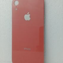 TAMPA IPHONE XR CORAL